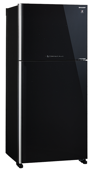 SJ FTG21CVP SL BK