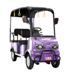 BUGGY