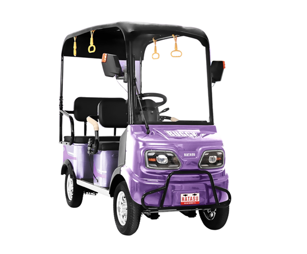 BUGGY